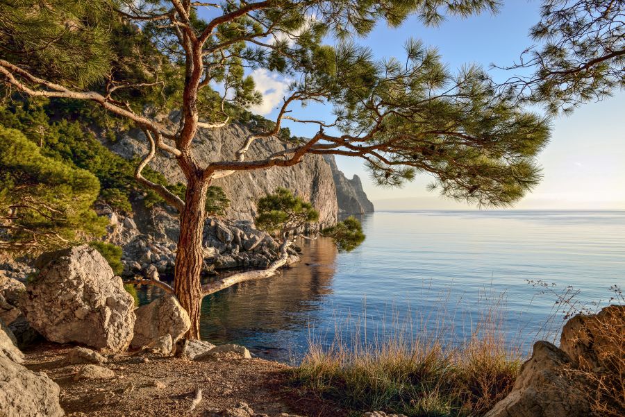 Картина на холсте Скалистый берег, арт hd1573001