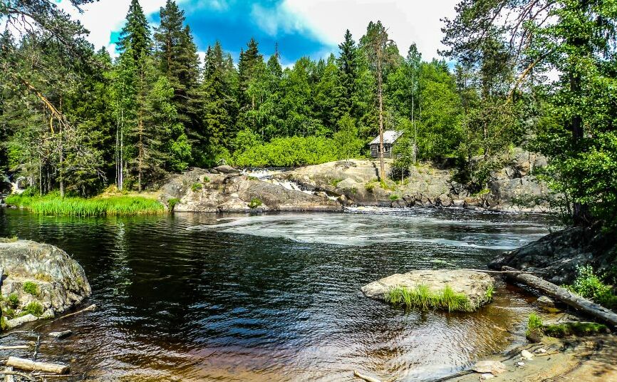 Картина на холсте Лес у озера, арт hd1552401