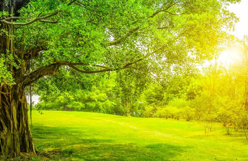 Картина на холсте Природа, арт hd1539401