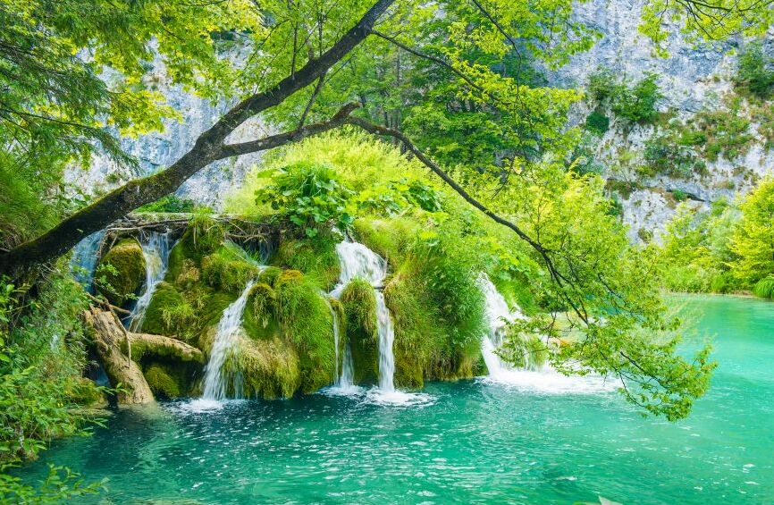 Картина на холсте лесное озеро, арт hd0857801