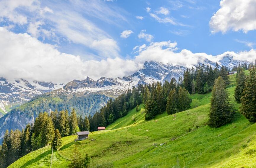 Картина на холсте склоны гор, арт hd0958901